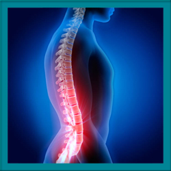 Spinal Disorder